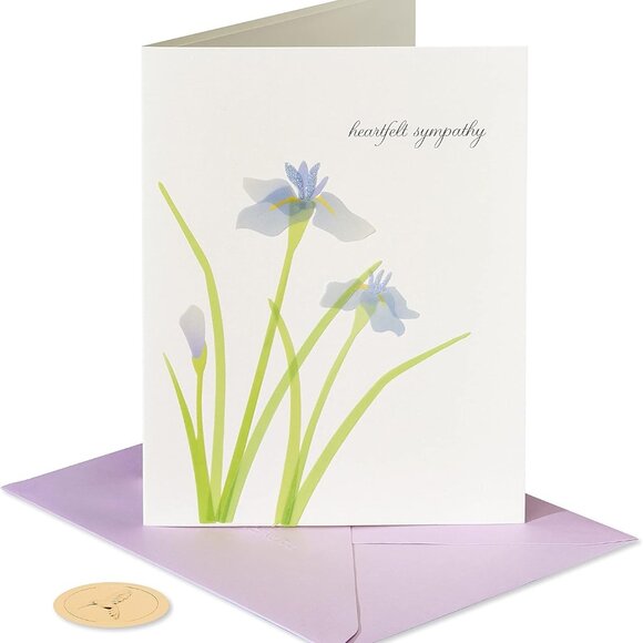 Papyrus Sympathy Card | Deepest Sympathy & Love - Picture 1 of 5
